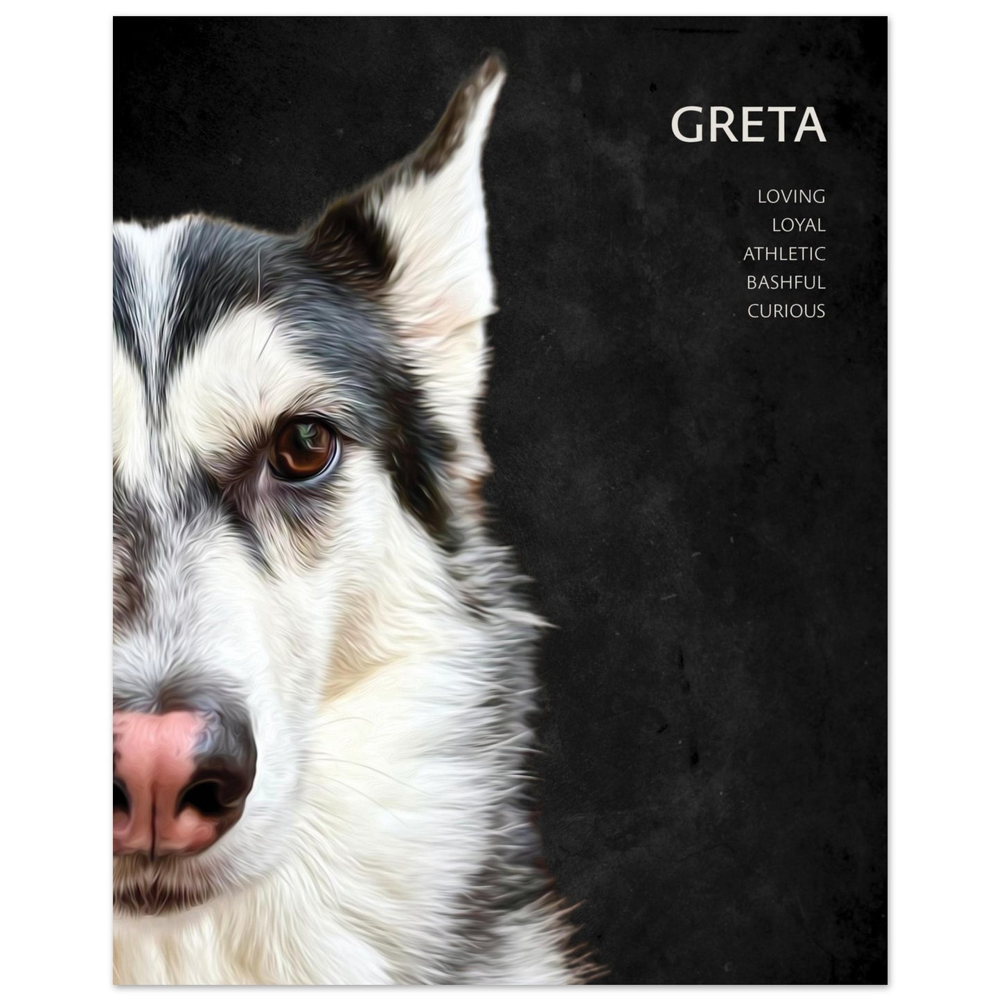 Custom Pet Portrait Poster