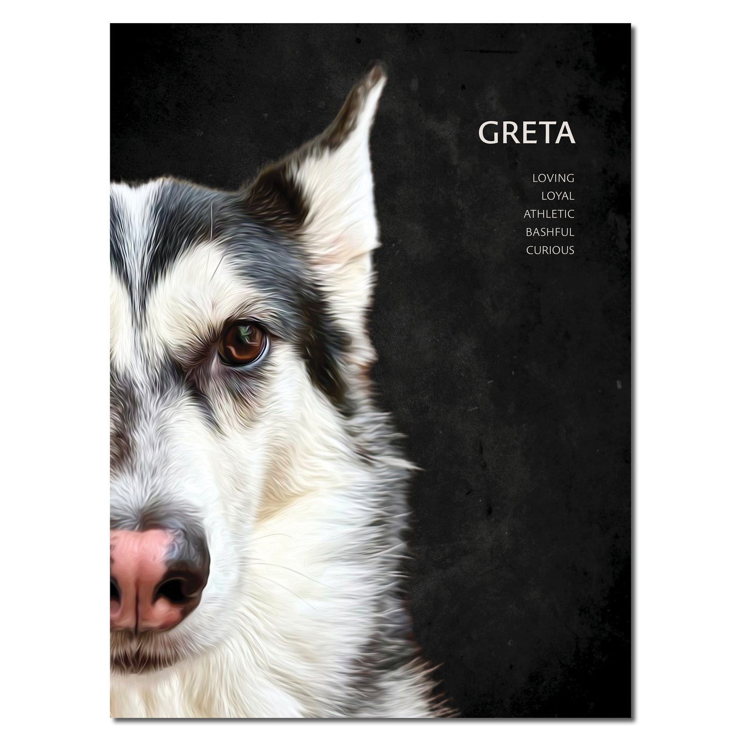 Custom Pet Portrait Poster