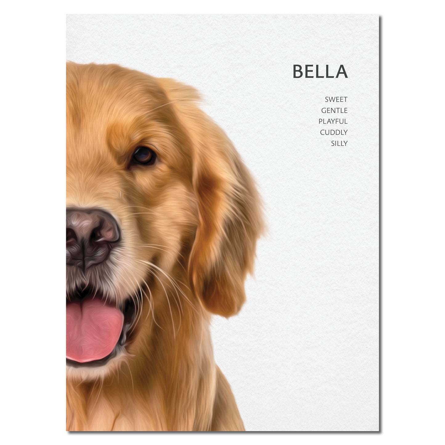 Custom Pet Portrait Poster