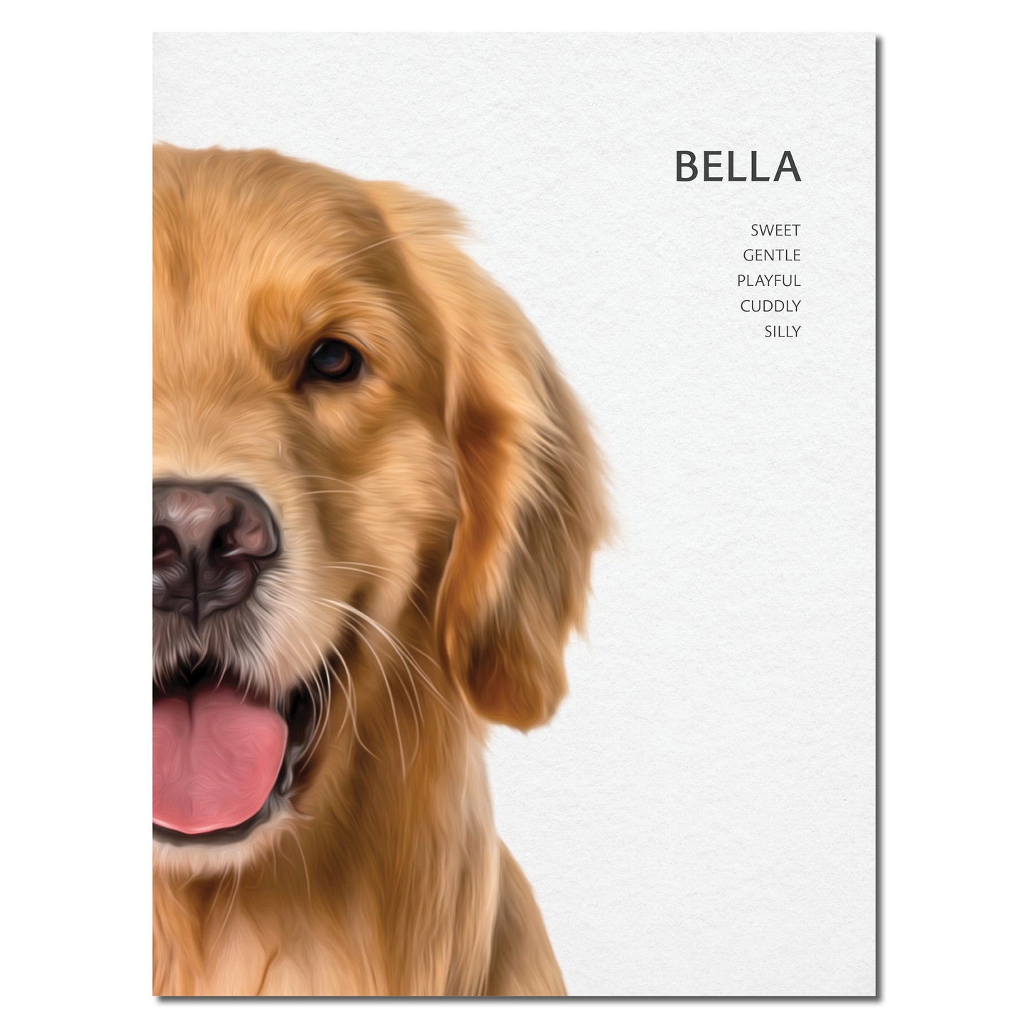 Custom Pet Portrait Poster