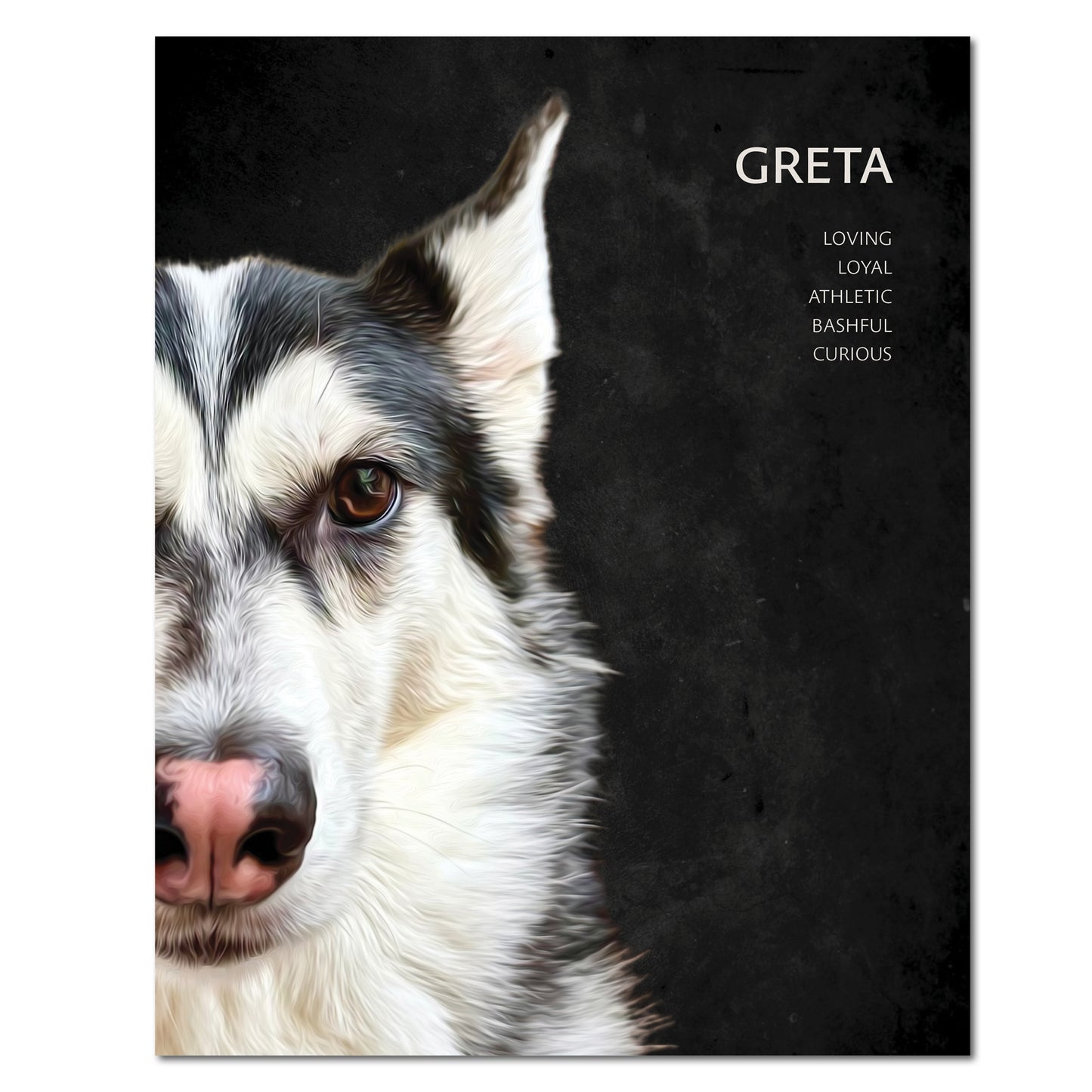 Custom Pet Portrait Poster