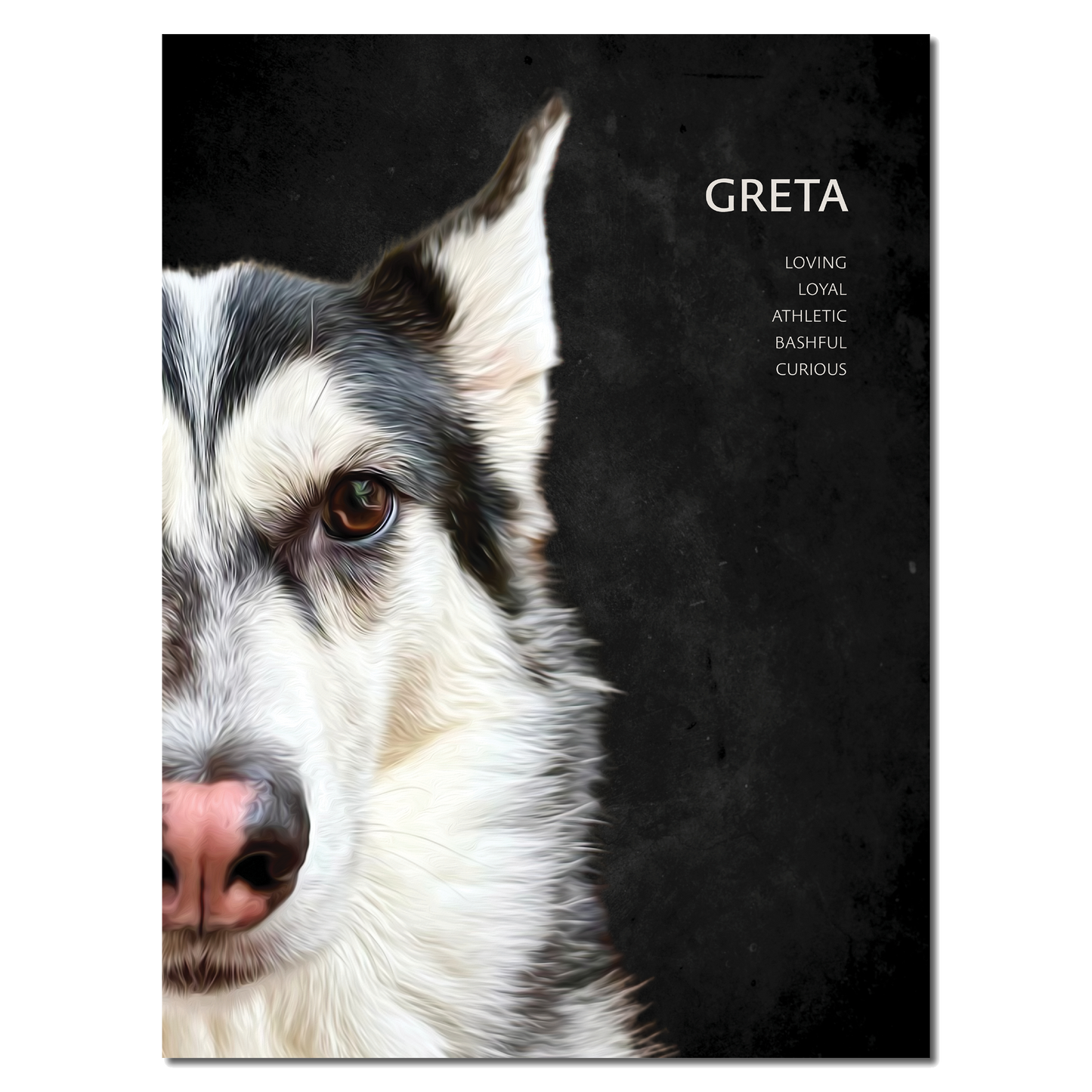 Custom Pet Portrait Poster