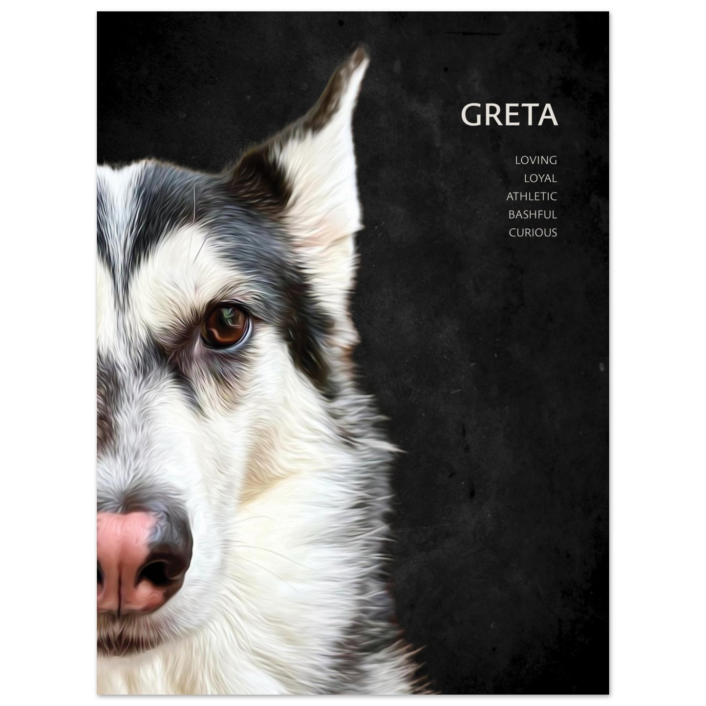 Custom Pet Portrait Poster